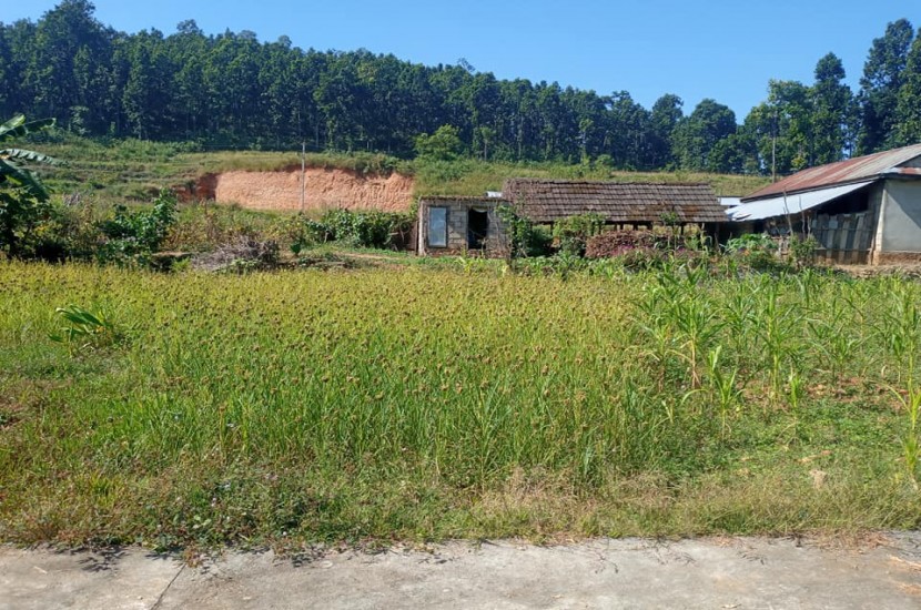 Land for Sale in Hetauda