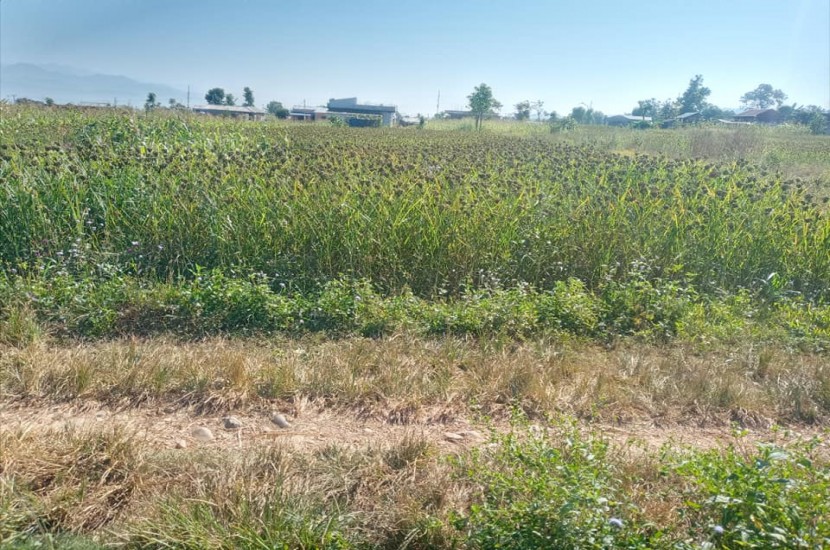 Land on Sale in Hetauda