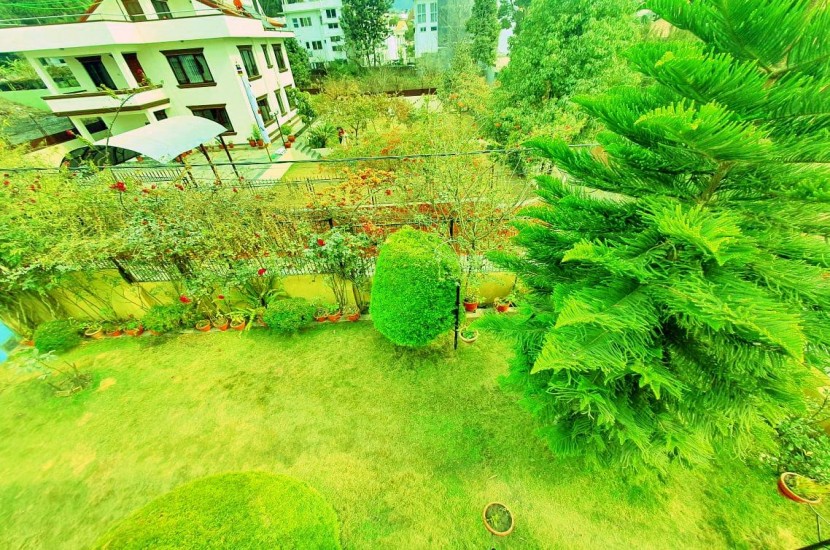 Garden Area 