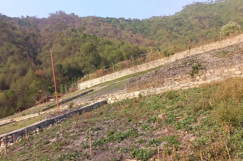 4 aana Land on sale in Tokha near meridian