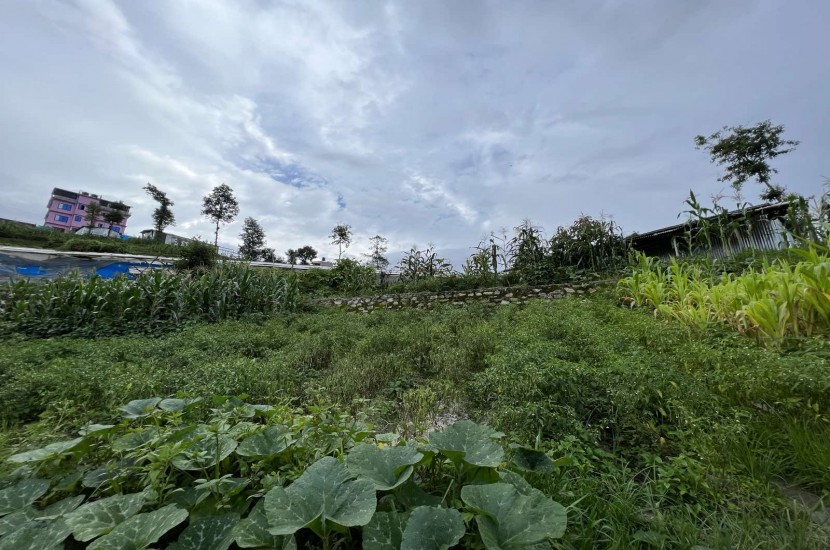 Land for sale at Tokha Kapindol Basti