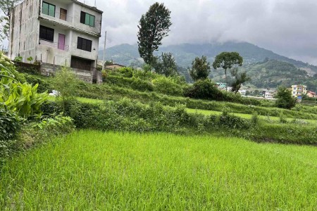 land-for-sale-at-sangla