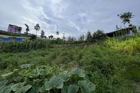 Land for sale at Tokha Kapindol Basti